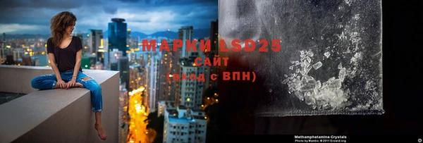 прущая мука Вяземский