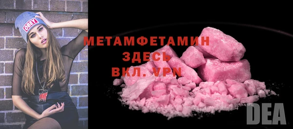 прущая мука Вяземский