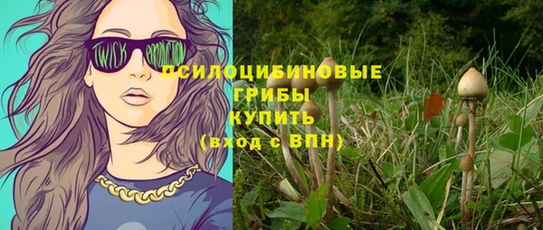 прущая мука Вяземский