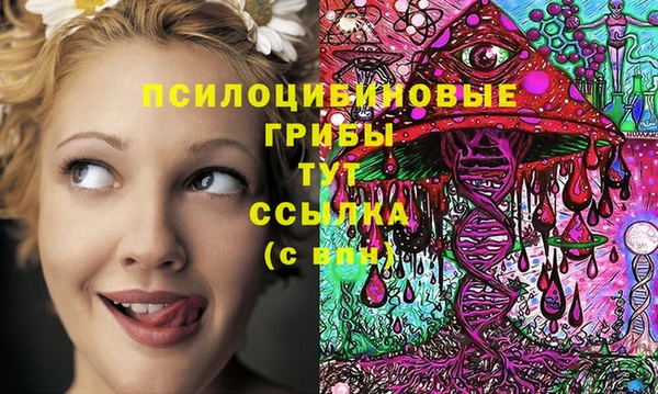 прущая мука Вяземский