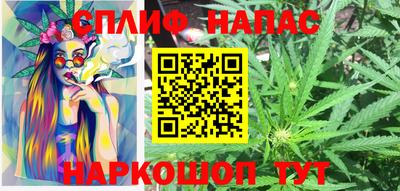 гидра Балашиха