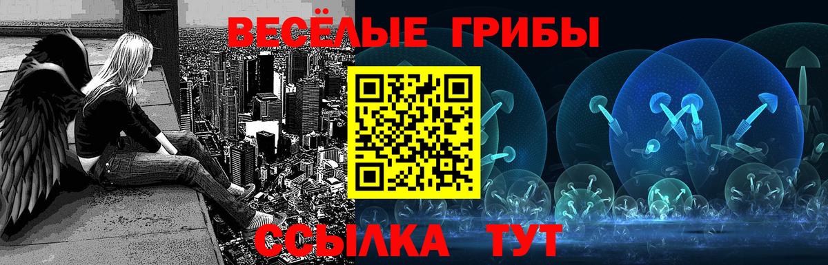 Псилоцибиновые грибы Cubensis  Галлюциногенные грибы мухоморы  Верхняя Пышма  Вход с VPN 