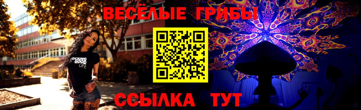 Галлюциногенные грибы мухоморы Верхняя Пышма