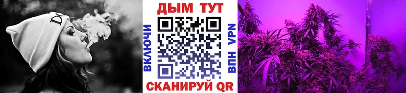 Конопля семена  Верхняя Пышма 